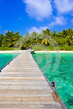 Jetty, beach and jungle