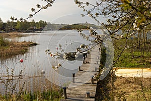 Jetty and a boat in the lake vÃ¤nern with flowers on a twig in foreground