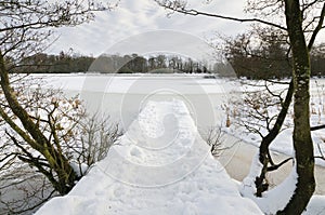 Jetty into frozen lake