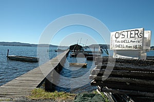 Jetty leading to an oyster farm photo
