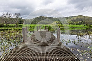 A jetty made mainly of recycled plastic on a lake in the Australian countryside