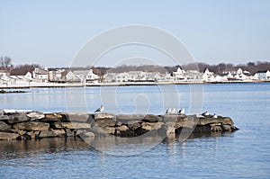 Jetty at Old Kelsey Point