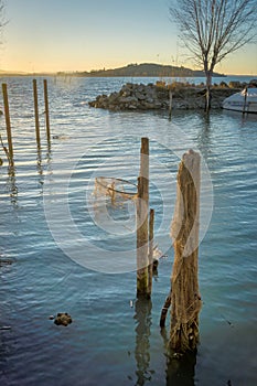 Jetty posts and fishing nets