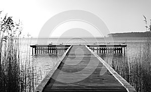 Jetty and swan in Lacanau lake