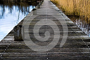 Jetty By The Waterside In A Forest In Haarlem Amsterdam Holland