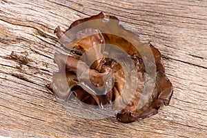 Jew`s ear or Auricularia auricula judae on an old wood background. top view,flat lay