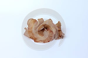 Jew`s ear, Wood ear, Jelly ear ,red auricularia auricula-judae fungus rich in nutrients isolated.