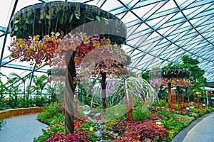 Jewel Changi Airport Canopy Park