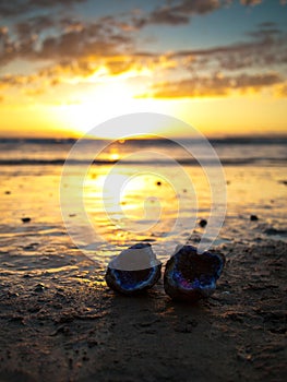 Jewel lying on the sand