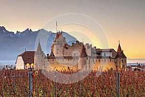 Chateau d`Aigle among the vineyards, Switzerland photo
