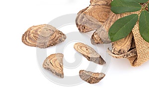 Jewel vine or Derris scandens and green leaves isolated on white background