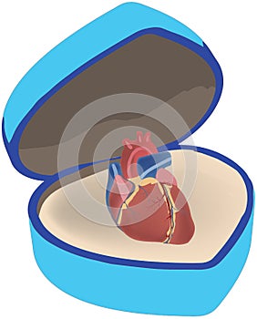 Jewelery box with a human heart inside