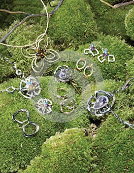 Jewelery on green foliage