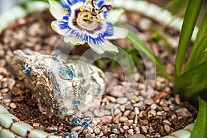 Jewelery made of natural stones against the backdrop of blossoming pasiflora. Bracelets, rings, necklaces, handmade earrings close