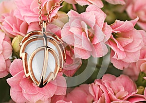 Jewelery pendant on pink flower background