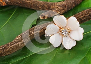 Jewellry ring as flower on green leafs background, copyspace