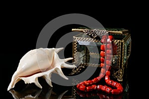 Jewelry box with heart from red coral chaplet and shell on black background