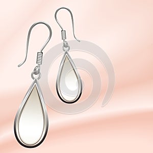 Jewelry earrings