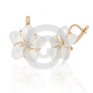 Jewelry earrings with nacre on white background photo