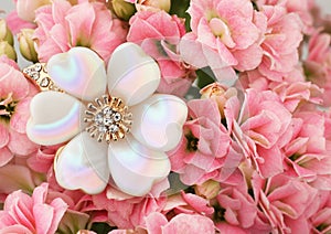 Jewelry on pink flower background with copy space