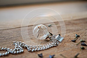 Jewelry whit dandelion seed in the glass