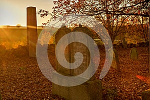 Jewisch cemetery, Stare mesto pod Landstejnem.