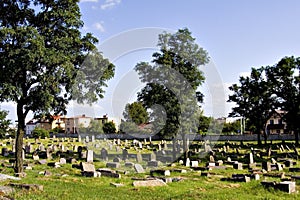 Jewish Cemetery 2