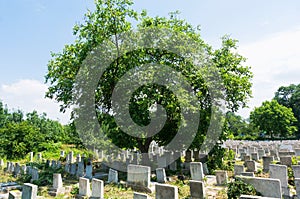 Jewish Cemetery