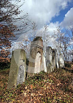 Jewish cemetery