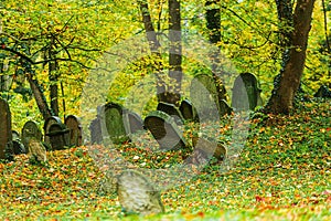 The Jewish cemetery is located about one kilometre east of the town of Luze in the Chrudim district of the Pardubice Region of the