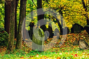 The Jewish cemetery is located about one kilometre east of the town of Luze in the Chrudim district of the Pardubice Region of the