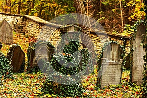 The Jewish cemetery is located about one kilometre east of the town of Luze in the Chrudim district of the Pardubice Region of the