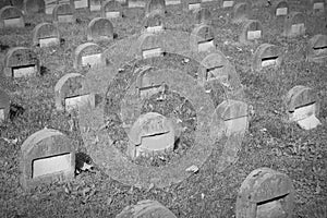 Jewish cemetery in Milan