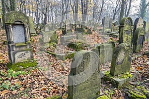 Jewish cemetery photo