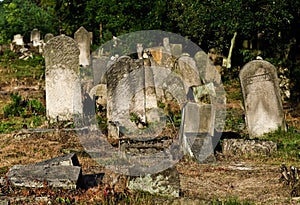 Jewish cemetery in Otwock (Karczew-Anielin)