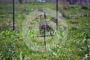 Jewish cemetery photo