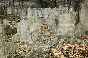 Jewish cemetery in Prague