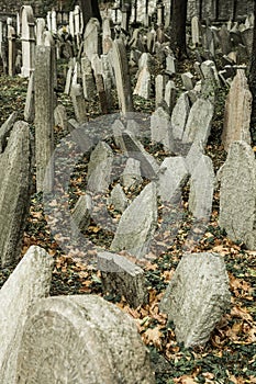 Jewish cemetery in Prague