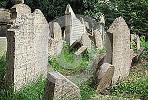 Jewish cemetery in Prague city