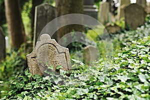 Jewish cemetery Telc