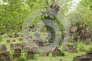 Jewish Cemetery in Worms or Heiliger Sand, in Worms, Germany