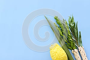 Jewish festival of Sukkot. Traditional symbols (The four species)