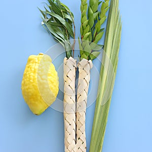 Jewish festival of Sukkot. Traditional symbols (The four species)