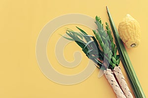 Jewish festival of Sukkot. Traditional symbols (The four species)