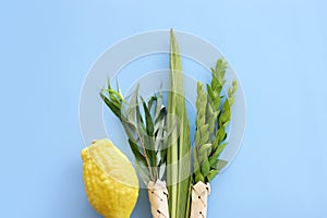 Jewish festival of Sukkot. Traditional symbols (The four species)