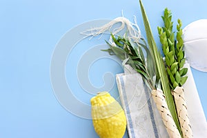 Jewish festival of Sukkot. Traditional symbols (The four species)