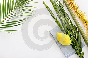 Jewish festival of Sukkot. Traditional symbols (The four species)