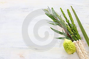 Jewish festival of Sukkot. Traditional symbols The four species: Etrog citron, lulav palm branch, hadas myrtle, arava