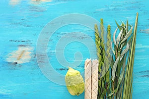 Jewish festival of Sukkot. Traditional symbols The four species: Etrog citron, lulav palm branch, hadas myrtle, arava