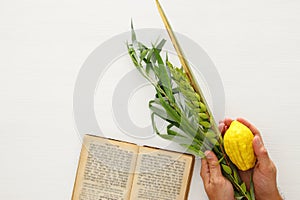 Jewish festival of Sukkot. Traditional symbols The four species: Etrog, lulav, hadas, arava.